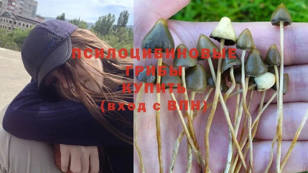 не бодяженный Баксан