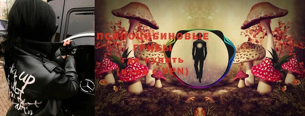 гидра Балабаново