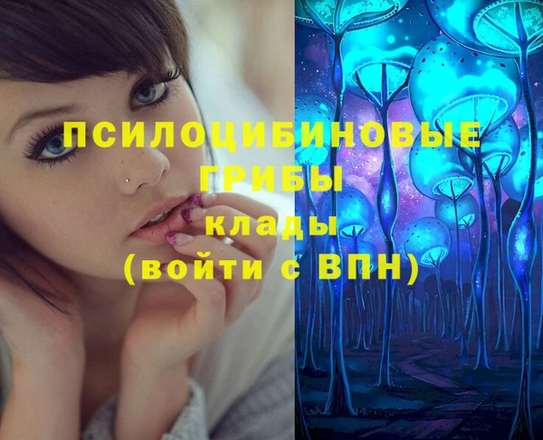 соль ск Балахна