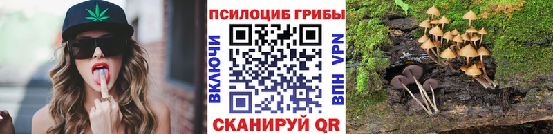 Галлюциногенные грибы MAGIC MUSHROOMS  Тогучин 