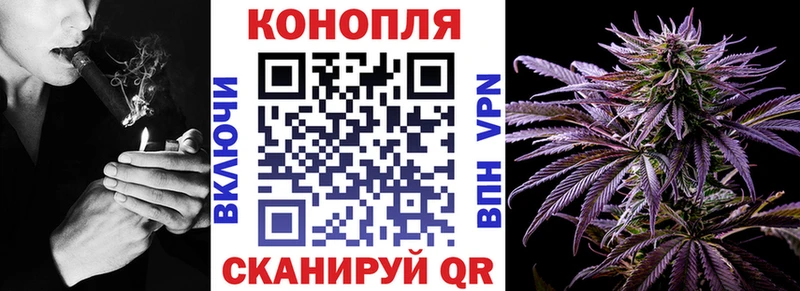 купить наркоту  Тогучин  Бошки марихуана конопля 